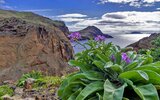 Madeira - poznávání a turistika ostrovem věčného jara