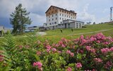 Hotel Tauplitzalm  ***
