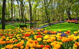 3* hotel v Amsterdamu