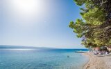 Bungalov Sagitta Holiday