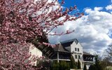 Hotel Flora