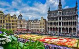 Belgie: Květinový koberec na náměstí