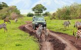 3 Dny Na Safari Selous S Relaxem Na Zanzibaru 3 Dny Na Safari Selous S Relaxem Na Zanzibaru