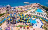 Calimera Blend Paradise Calimera Blend Paradise