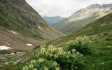 Gasthaus Alpenrose