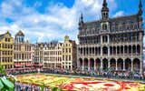 Belgie: květinový koberec a Brusel