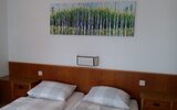 Pension Gassner (Niedernsill)