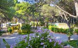Camping La Vecchia Torre Camping La Vecchia Torre