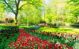 3* hotel v Amsterdamu