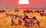 3 Dny Na Safari Ngorongoro S Relaxem Na Zanzibaru 3 Dny Na Safari Ngorongoro S Relaxem Na Zanzibaru