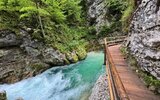 Lovec (Bled)