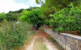 Studia Athina (Tsilivi)