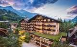 Hotel Alpina