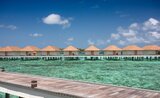 Cinnamon Velifushi