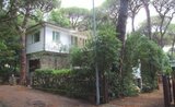 Pineta