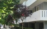 Villa Patrick - Bibione, Itálie