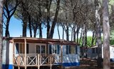 Pineta Sul Mare Camping Village