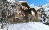 Chalet Alpenvue