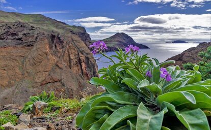Madeira: Poznávání a turistika ostrovem věčného jara