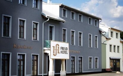 Hotel Freud