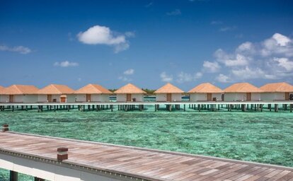 Cinnamon Velifushi