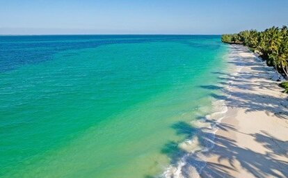 Sunny Palms Beach Bungalows