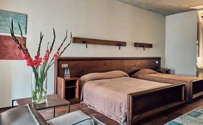 Hotel Stary