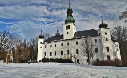 Hotel Zámek Třešť