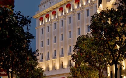 Hotel Gran Melia Colon