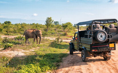 2 Dny Na Safari Saadani S Relaxem Na Zanzibaru