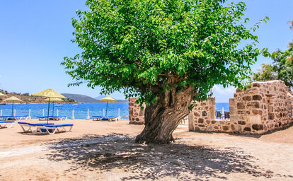 Hotel Club Muskebi