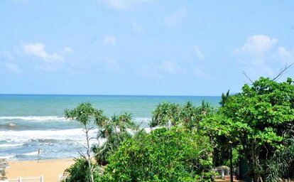 Green Shadows Beach