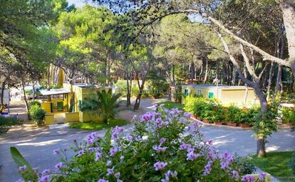 Camping La Vecchia Torre