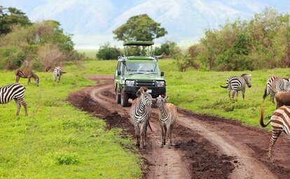 3 Dny Na Safari Selous S Relaxem Na Zanzibaru