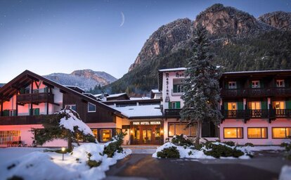 Hotel Regina delle Dolomiti