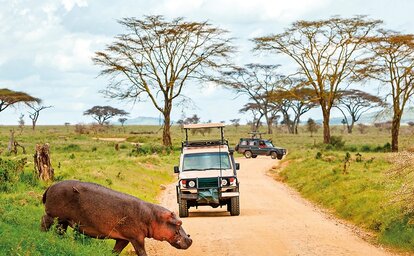 2 Dny Na Safari Selous S Relaxem Na Zanzibaru