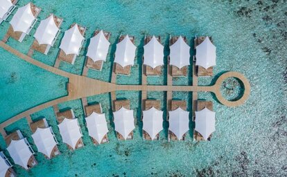 Cinnamon Hakuraa Huraa