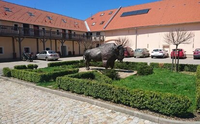 Relax na jihu Čech v penzionu Bison ranch Rožnov