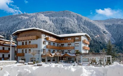 Hotel Ariston (Molveno)