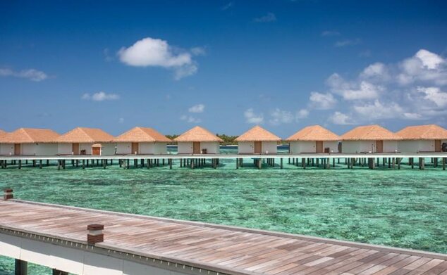 Cinnamon Velifushi