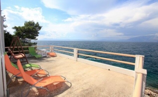 Robinzonáda Delphinus