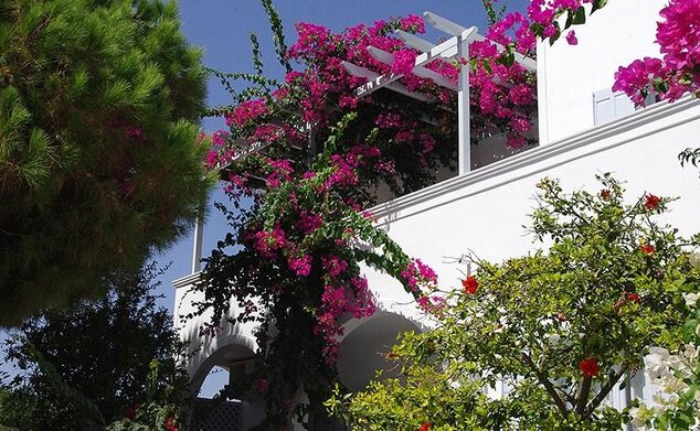 Studia Santorini Houses