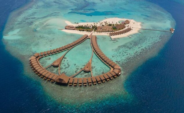 Cinnamon Velifushi