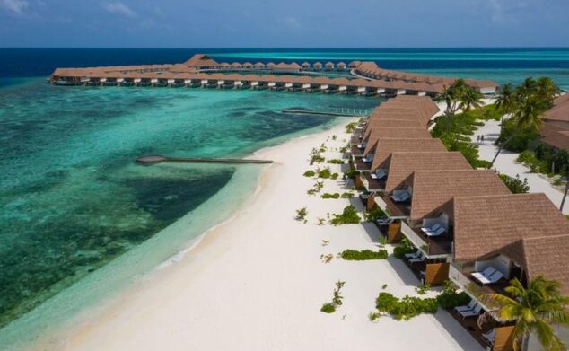 Cinnamon Velifushi