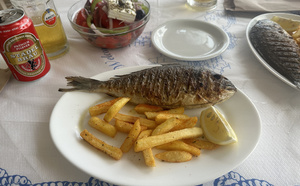 večeře - ryba a 18 hranolek