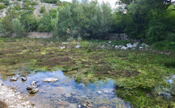 Selo Cetine - Cetina