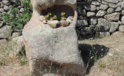 Arzachena - Parco Archeologico - cesta k Tempietto Malachittu