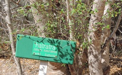 Ifaty - Národní rezervace Reniala