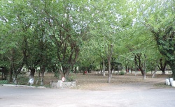 Meteora Garden - camp