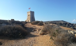 Torri ta' Għajn Tuffieħa